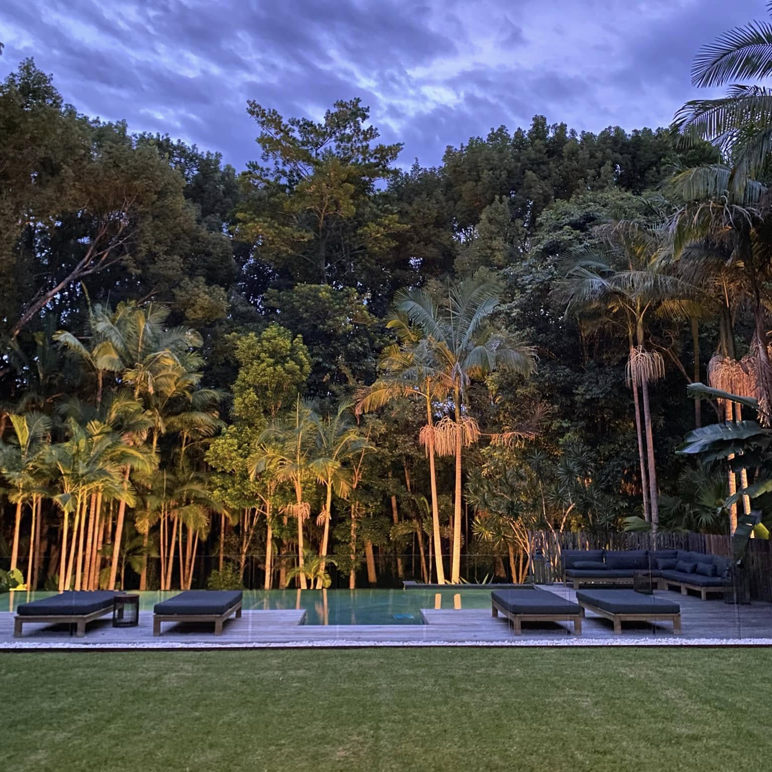 The pool at dusk with the palms lit against the night sky
