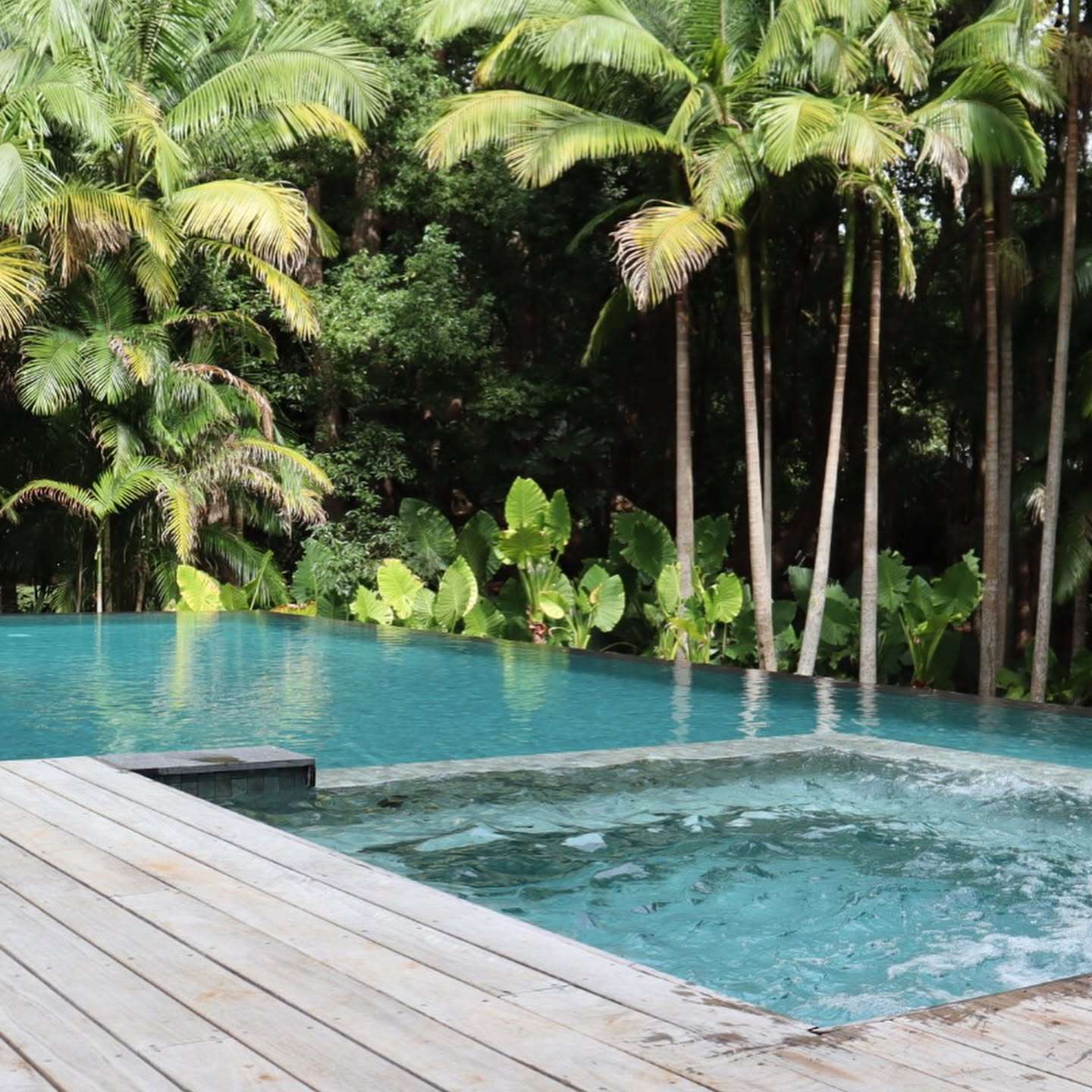 The 12 metre infinity pool wrapped in palms